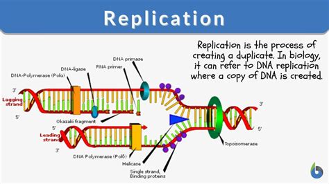 what is replication in an experiment