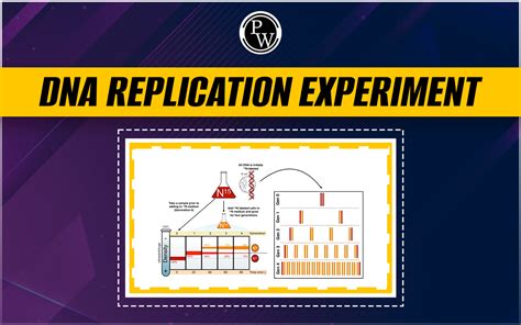 what is replication in an experiment statistics