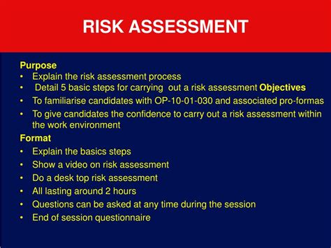 what is risk assessment definition