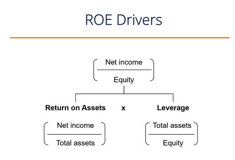 what is roe in business