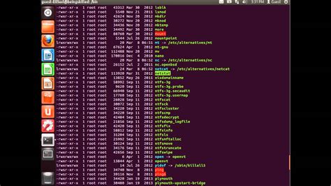 What Is Root And Bin Directory In Linux Os