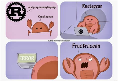 what is rust programming language used for reddit