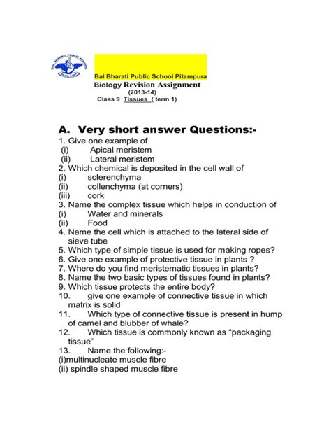 what is rust very short answer