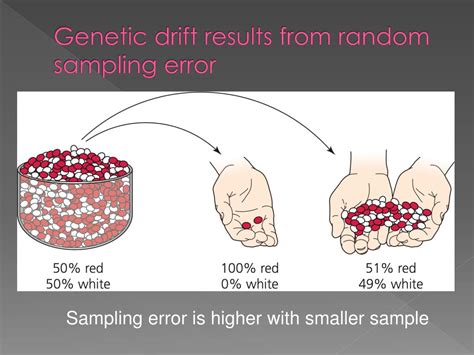 what is sampling error in genetic drift