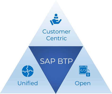 what is sap btp platform