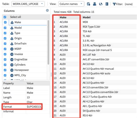 what is sas file format