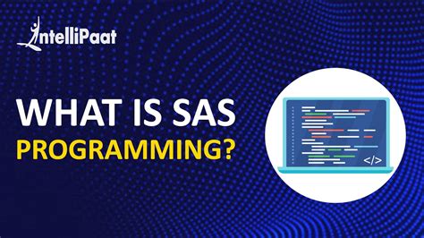 what is sas programming course
