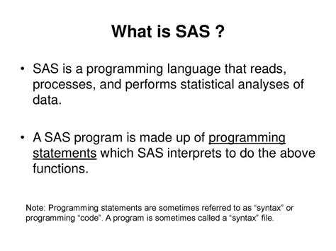 what is sas programming skills