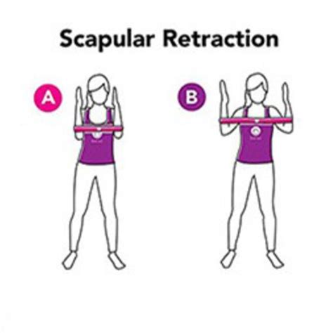 What Is Scapular Retraction Exercise