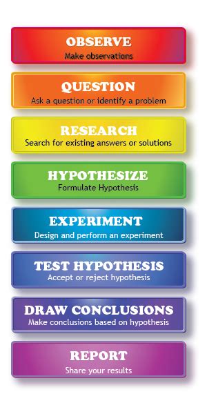 what is scientific method in class 6