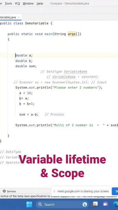 what is scope and lifetime of a variable in java