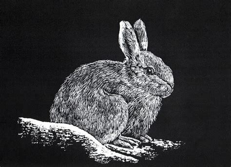 What Is Scratchboard Medium