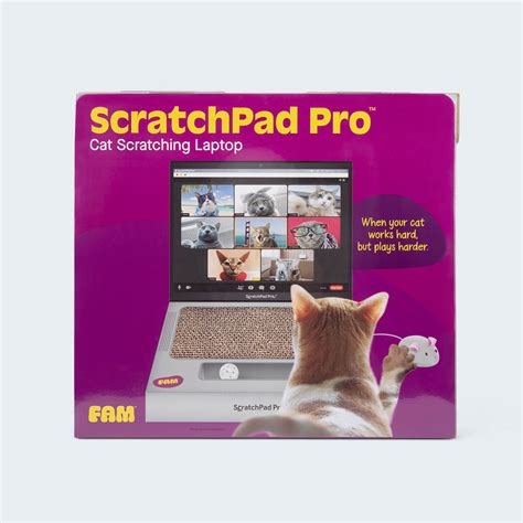What Is Scratchpad