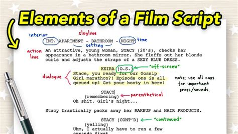 what is script writing examples
