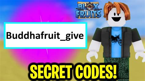 what is secret code in blox fruit