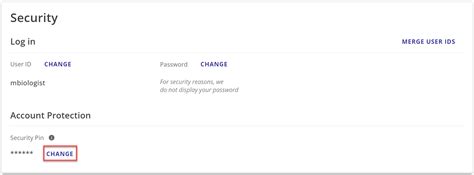 What Is Security Pin