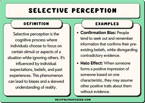 what is selective perception explain with an example