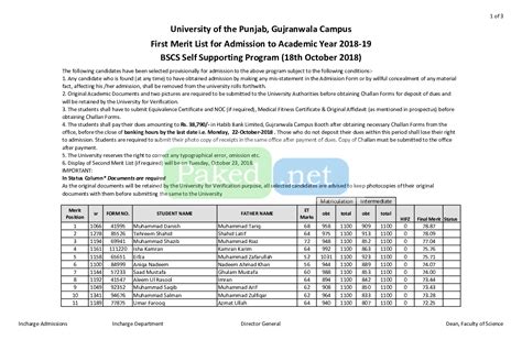 what is self supporting program