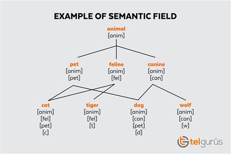 what is semantic field with example