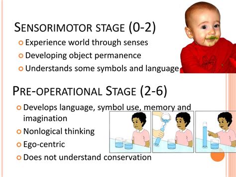 what is sensory motor development