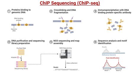 What Is Sequencing In Networking
