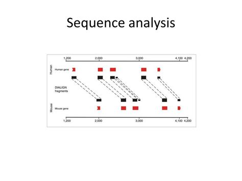 what is sequential analysis
