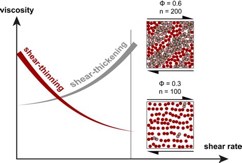 What Is Shear Thinning Behavior