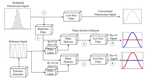 what is signal processing in electronics