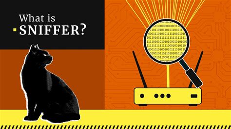 What Is Sniffer Example