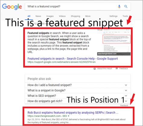 what is snippet means