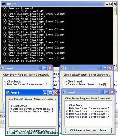 What Is Socket Programming C#