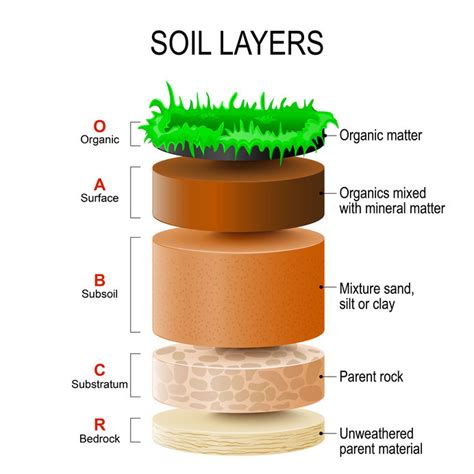 what is soil structure and its importance