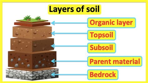 what is soil structure in soil science