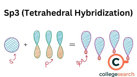 what is sp3 hybridization with example