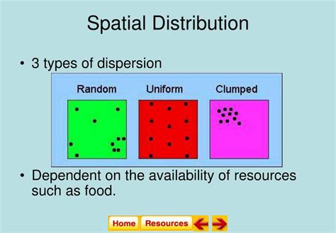 what is spatial distribution simple definition