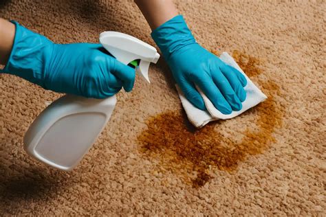 What Is Spot Cleaning