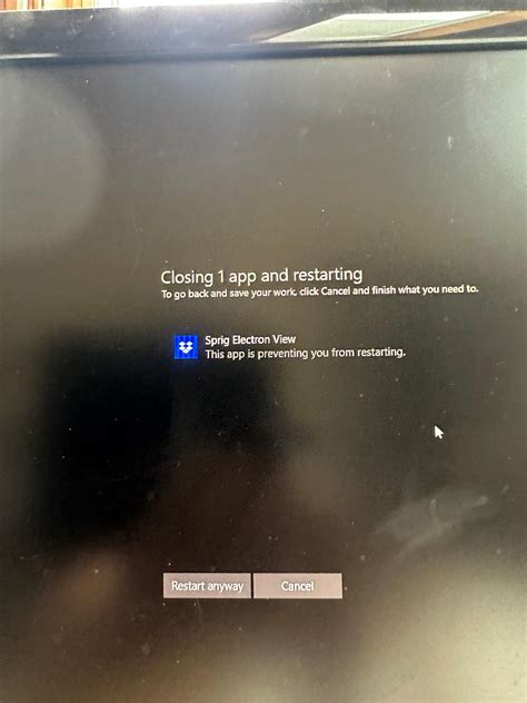 what is sprig electron view