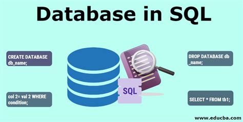 what is sql database used for