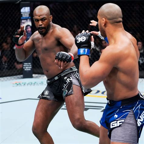 What Is Stance In Ufc