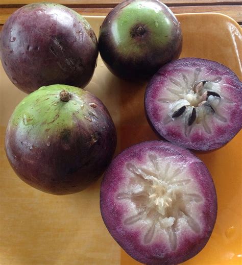 These What Is Star Apple In Tagalog Popular Now