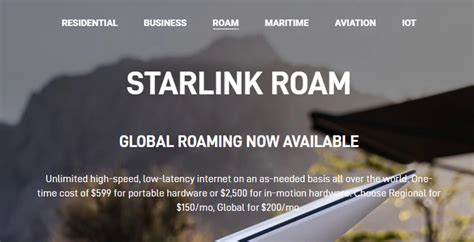what is starlink roam