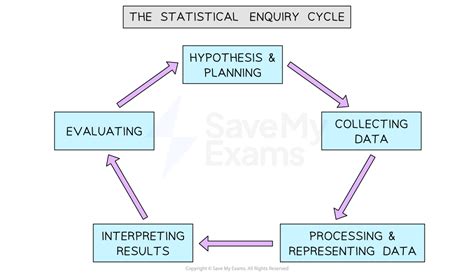 what is statistical enquiry explain class 11