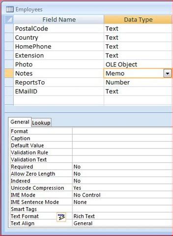what is storage size of memo and text data type in ms access