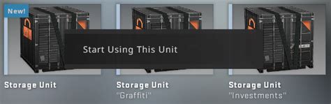 What Is Storage Unit Csgo
