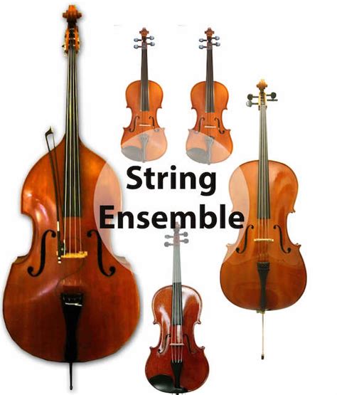 What Is String Ensemble