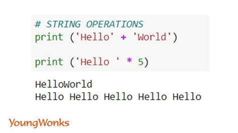 what is string replication in python with example