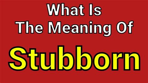 what is stubborn mean
