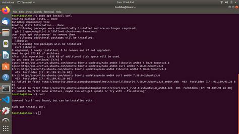 what is sudo curl