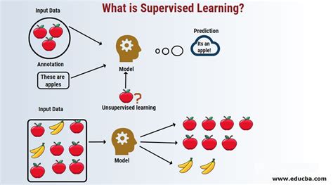 what is supervised learning in ai class 9