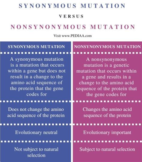 what is synonymous and nonsynonymous mutation